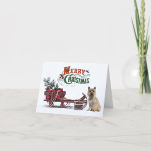 Tarjeta Festiva Navidades rusos de Cairn Terrier