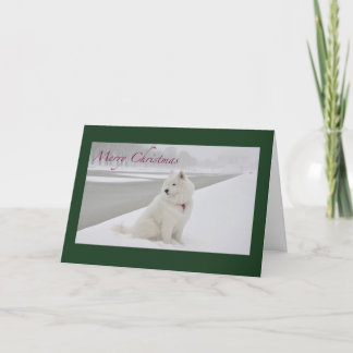 Tarjeta Festiva Navidades samoyed (monumento a Lincoln)