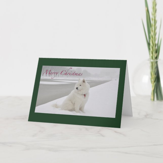 Tarjeta Festiva Navidades samoyed (monumento a Lincoln) (Anverso)