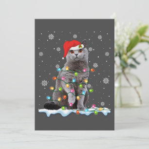 Tarjeta Festiva Navidades Santa Cat British Shorthair Cat Lover