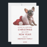 Tarjeta Festiva Navidades Santa Hat, Bulldog francés blanco y rojo<br><div class="desc">Esta bonita y artística tarjeta de felicitación de vacaciones para Navidades es perfecta para crear la atmósfera festiva de su evento especial. Bulldog francés, gris y blanco pintado a mano, en el interior de un sombrero de Santa Ana, blanco y rojo, encima de un sencillo fondo blanco. En la parte...</div>
