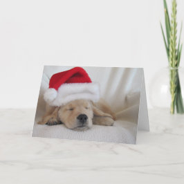 Tarjeta Festiva Navidades Santa Hat Pup