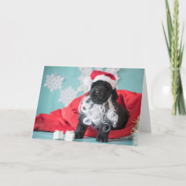 Tarjeta Festiva Navidades Santa Puppy