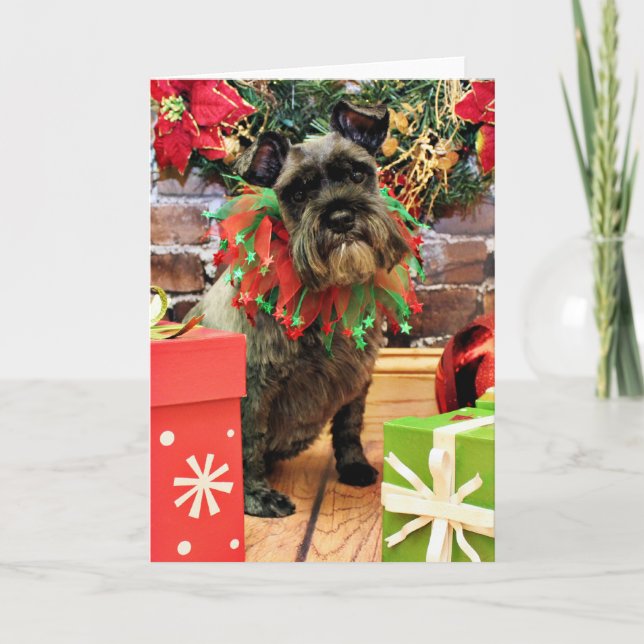 Tarjeta Festiva Navidades - Schnauzer - Fenway (Anverso)