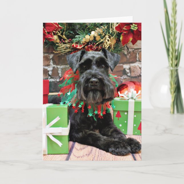 Tarjeta Festiva Navidades - Schnauzer - Fergie (Anverso)