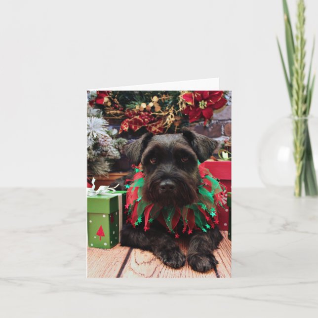 Tarjeta Festiva Navidades - Schnauzer Mix - Bentley (Anverso)