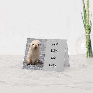 TARJETA FESTIVA NAVIDADES SEAL DICE "FELIZ NAVIDAD" A "TÚ"