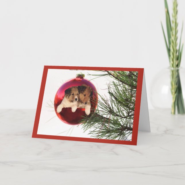 Tarjeta Festiva Navidades Sheltie - Bolas de cartas colgando (Anverso)