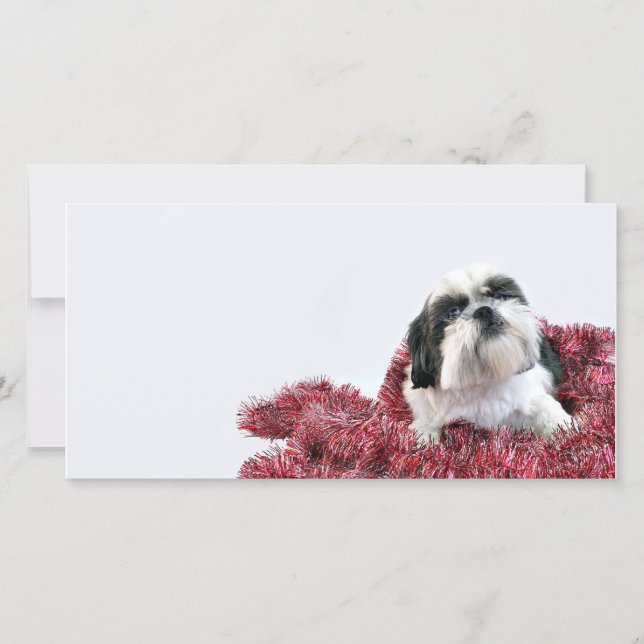 Tarjeta Festiva Navidades Shih Tzu (Anverso)