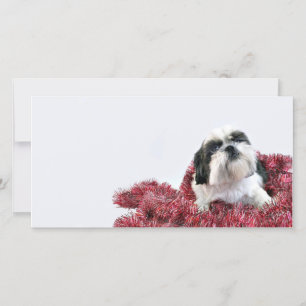 Tarjeta Festiva Navidades Shih Tzu