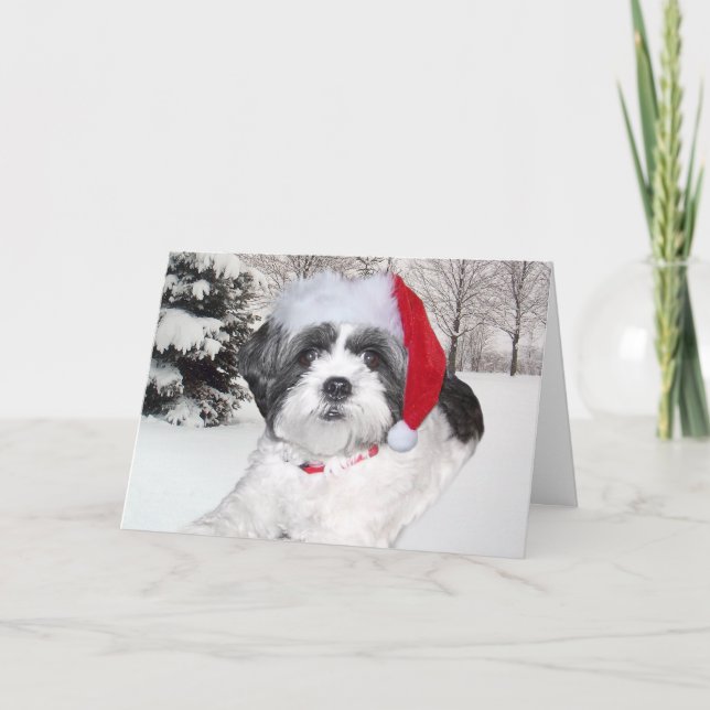 Tarjeta Festiva Navidades Shih Tzu (Anverso)