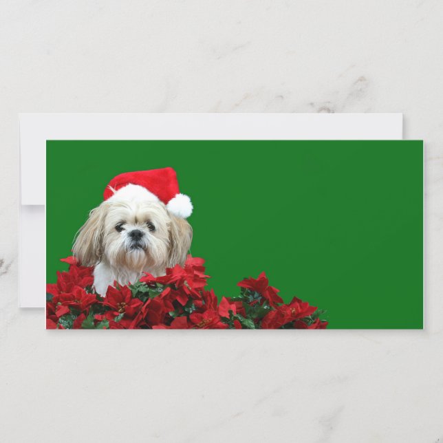 Tarjeta Festiva Navidades Shih Tzu (Anverso)