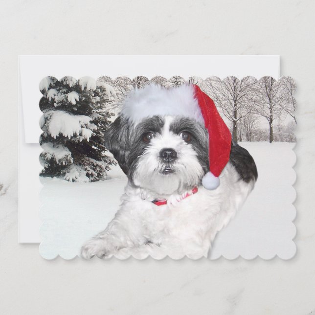 Tarjeta Festiva Navidades Shih Tzu en Nieve (Anverso)
