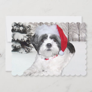 Tarjeta Festiva Navidades Shih Tzu en Nieve