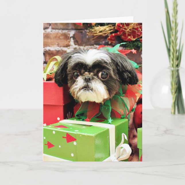Tarjeta Festiva Navidades - Shih Tzu - Yogi (Anverso)