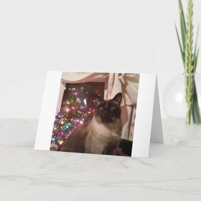 Tarjeta Festiva navidades siameses (Anverso)