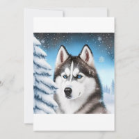 Navidades Siberian Husky / Camiseta de perro trenz