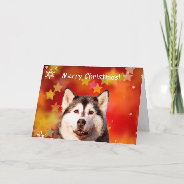 Tarjeta Festiva Navidades siberianos de Husky Dog con nevadas (Anverso)