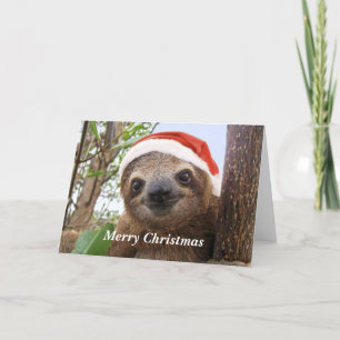 Tarjeta Festiva Navidades Sloth Background