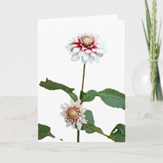 Tarjeta Festiva Navidades Snow Dahlias (Anverso)
