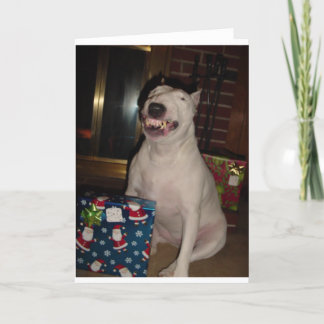 Tarjeta Festiva navidades sonríen bull terrier
