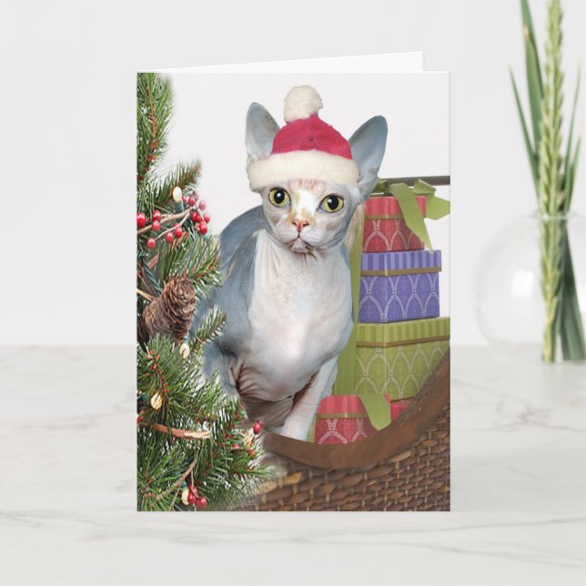 Tarjeta Festiva Navidades Sphynx (Anverso)