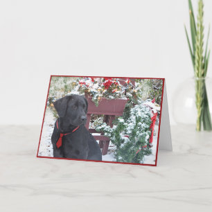 Tarjeta Festiva Navidades/Tarjeta de vacaciones ~ Labrador