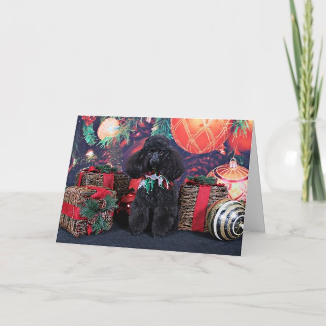 Tarjeta Festiva Navidades - Toby - Poodle (Anverso)