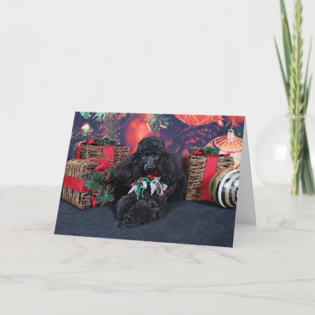 Tarjeta Festiva Navidades - Toby - Poodle (Anverso)
