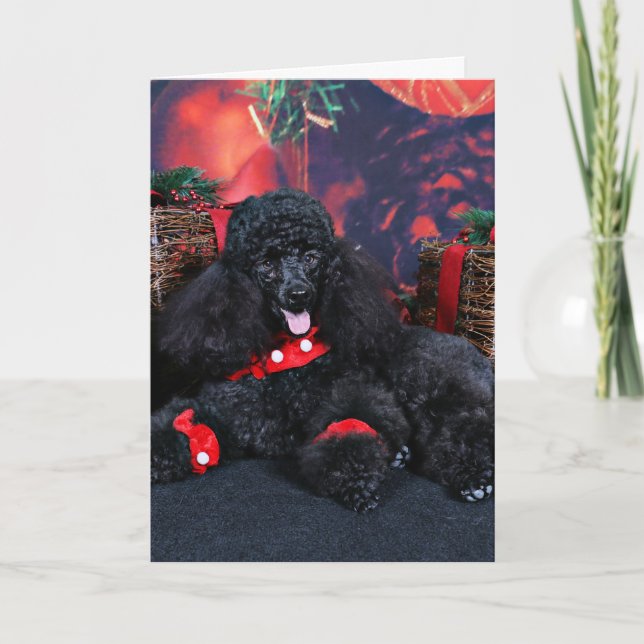 Tarjeta Festiva Navidades - Toby - Poodle (Anverso)