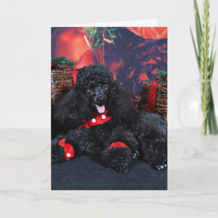 Tarjeta Festiva Navidades - Toby - Poodle