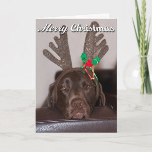 Tarjeta Festiva Navidades tontos Labrador con bailarinas festivas