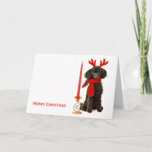 Tarjeta Festiva Navidades Toy Poodle Dog