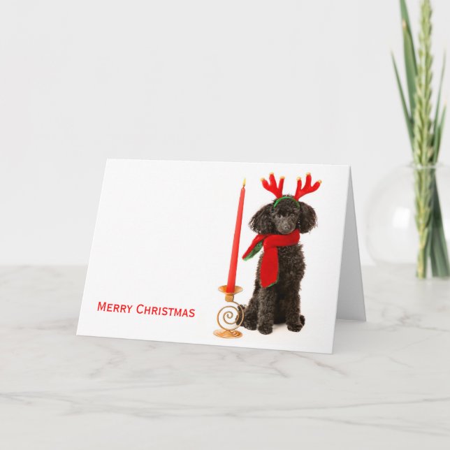 Tarjeta Festiva Navidades Toy Poodle Dog (Anverso)