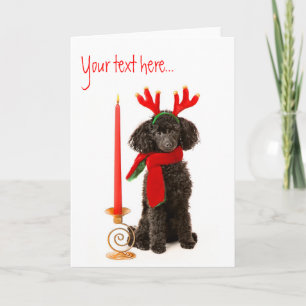 Tarjeta Festiva Navidades Toy Poodle Dog