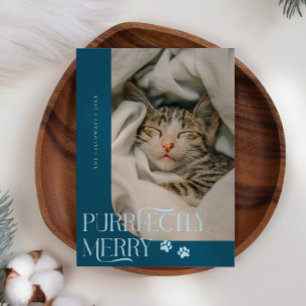 Tarjeta Festiva Navidades Verde azulados de la foto de un gato mer