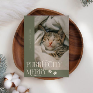 Tarjeta Festiva Navidades verdes de la foto de un gato meril
