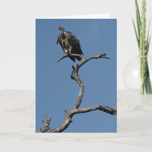 Tarjeta Festiva Navidades Vulture (Anverso)