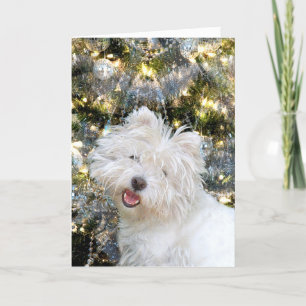 Tarjeta Festiva Navidades Westie