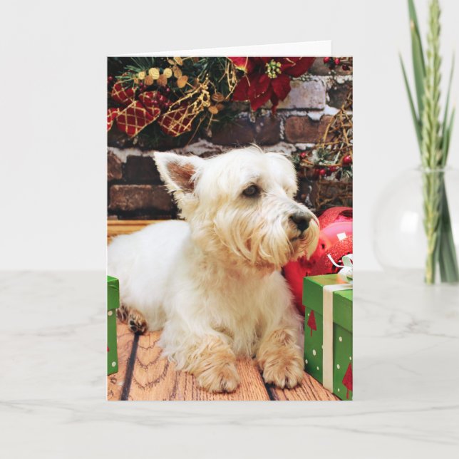 Tarjeta Festiva Navidades - Westie - Callie (Anverso)