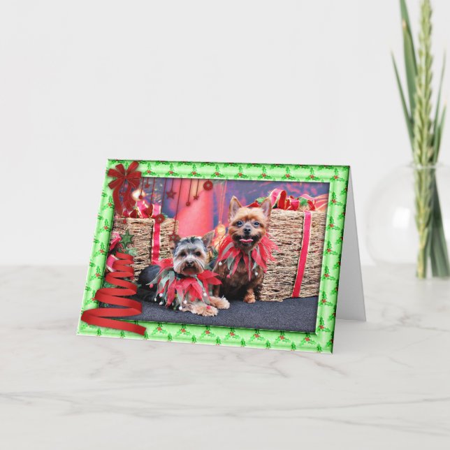 Tarjeta Festiva Navidades - Yorkshire Terrier - Chloe y Rocky (Anverso)