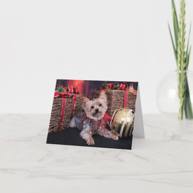 Tarjeta Festiva Navidades - Yorkshire Terrier - Vinnie (Anverso)