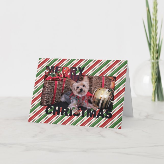 Tarjeta Festiva Navidades - Yorkshire Terrier - Vinnie (Anverso)