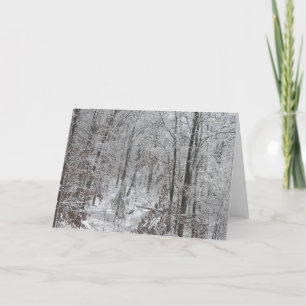 Tarjeta Festiva Nevadas en mtns del SC