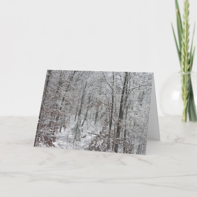 Tarjeta Festiva Nevadas en mtns del SC (Anverso)