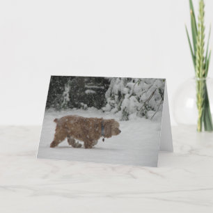 Tarjeta Festiva Nevado cocker spaniel