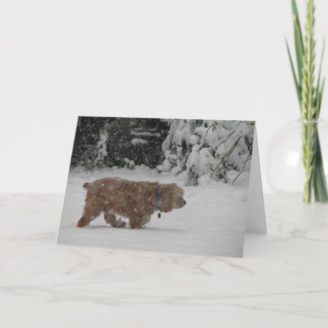 Tarjeta Festiva Nevado cocker spaniel (Anverso)