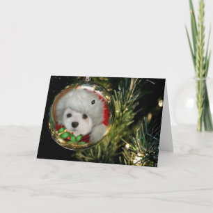 Tarjeta Festiva Nevando a los malteses con los Navidades