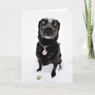 Tarjeta Festiva ¡Nevó!