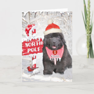 Tarjeta Festiva Newfoundland Puppy ama a Santa Cards